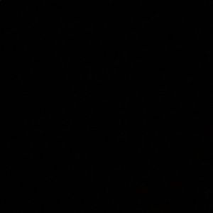 Meet your Posher, Antonio